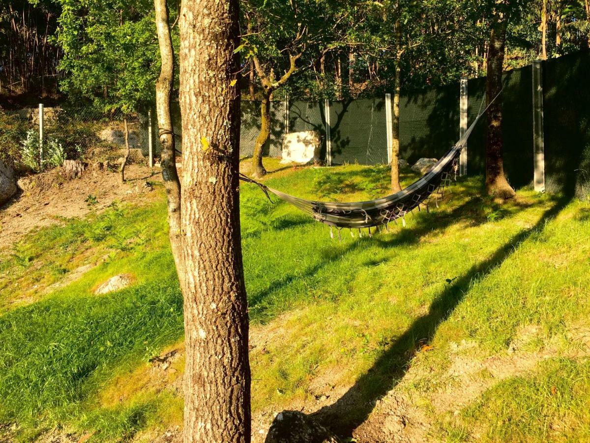 The Green Roof House Vieira do Minho Ngoại thất bức ảnh